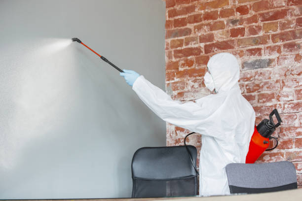 Best Water Damage & Mold Remediation  in Orange, CA