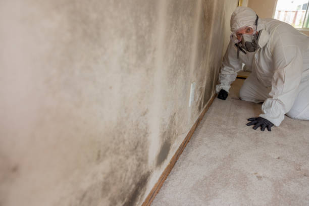Best Post-Remediation Verification Testing  in Orange, CA